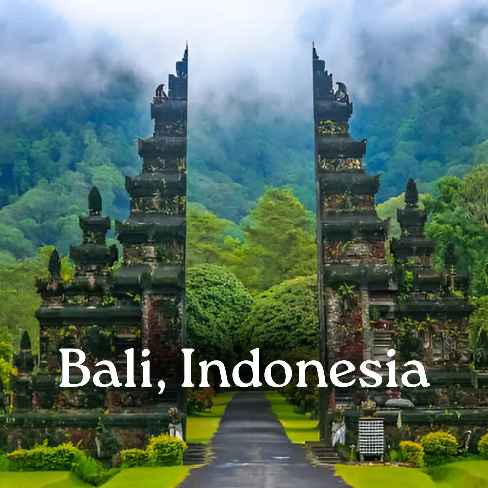 bali-img.webp